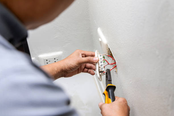 Best Electrical System Inspection  in Rogersville, AL